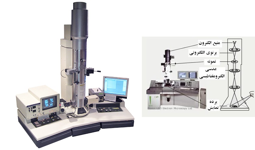 microscopelctroni