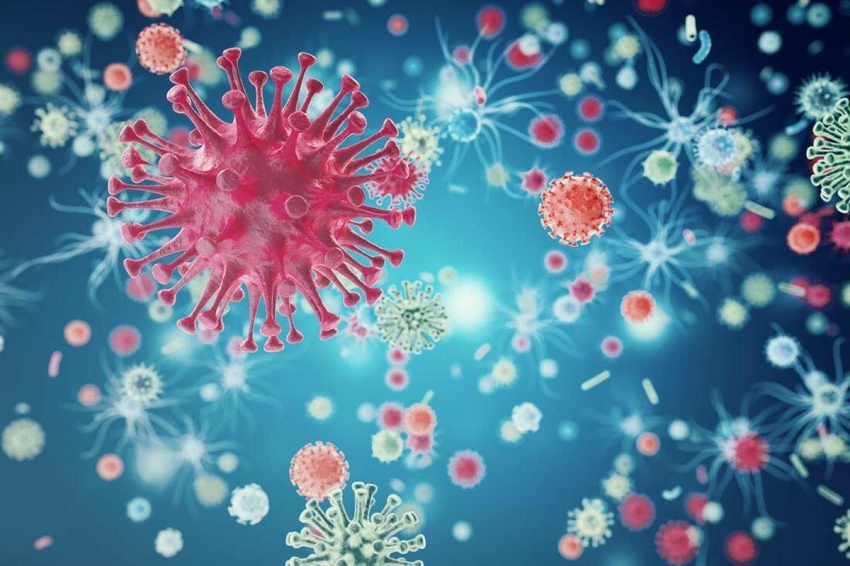 coronavirus