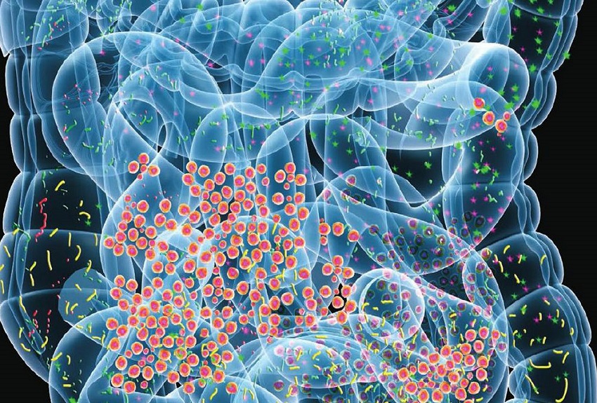 probiotic