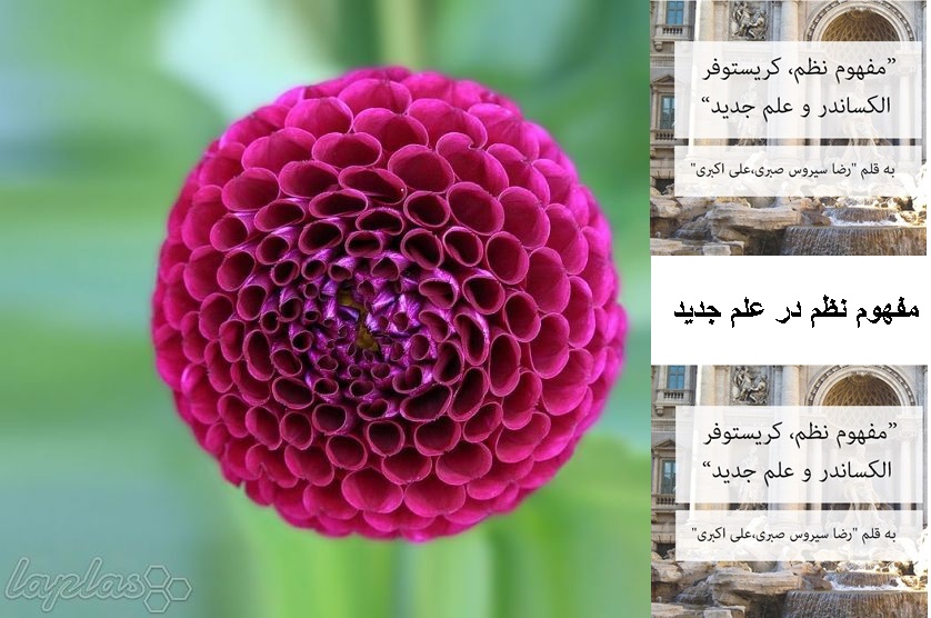 nazm