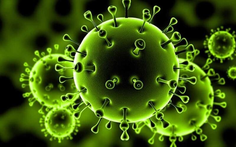 coronavirus