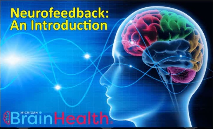 نوروپلاستیسیتی 