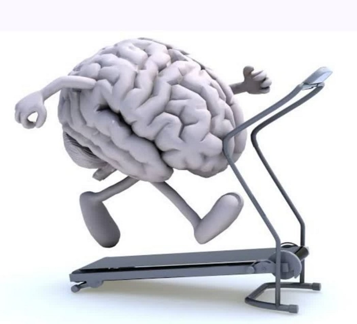 ورزش سلامت مغز و قلب