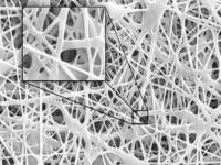 nanoalyaf