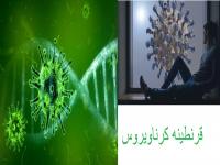 coronavirus