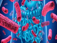 probiotic