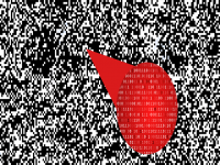  Steganography