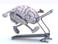 ورزش سلامت مغز و قلب