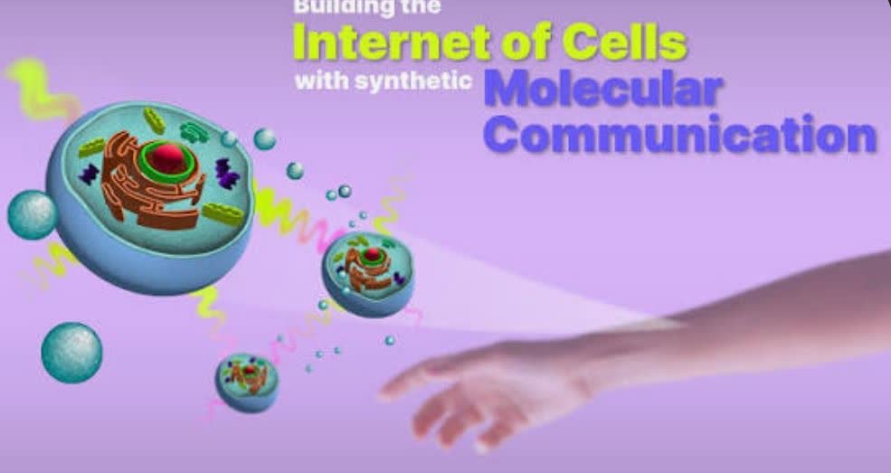 اینترنت مولکولی