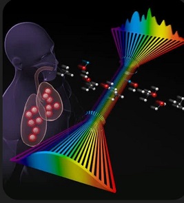 اینترنت مولکولی