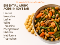 soya