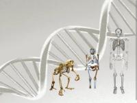 ژنتیک و تکامل