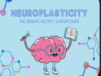نوروپلاستیسیتی، انعطاف‌پذیری مغز، تقویت حافظه، سالمندان، تمرین‌های مغزی، پوزیت ساینس، دوپامین، استیل‌کولین، نورمن دوچ، مغزی که خود را تغییر می‌دهد