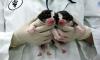 cloning